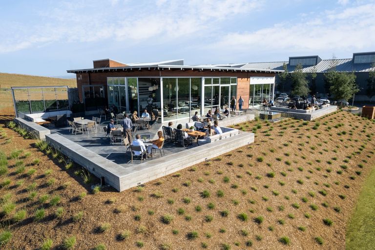 View looking towards the tasting room patio from the front vineyard