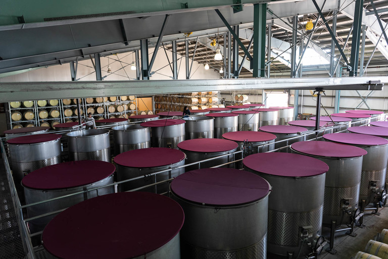 Winery tanks and barrels