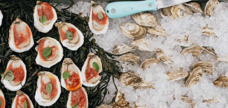 Oysters