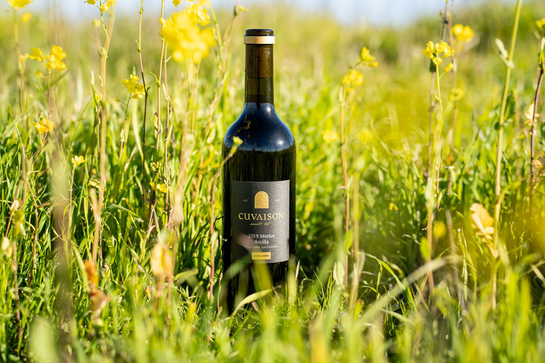 Wine bottle in grass, photo by Braden Tavelli