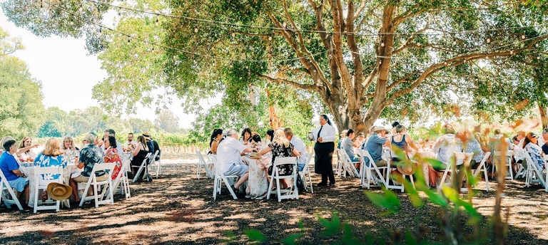 Guests enjoy an elegant outdoor feast under a grove of trees