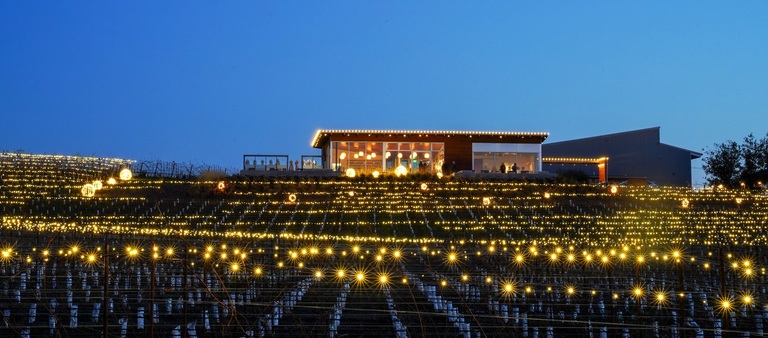 A winery tasting room and vineyards lit up for winter holidays