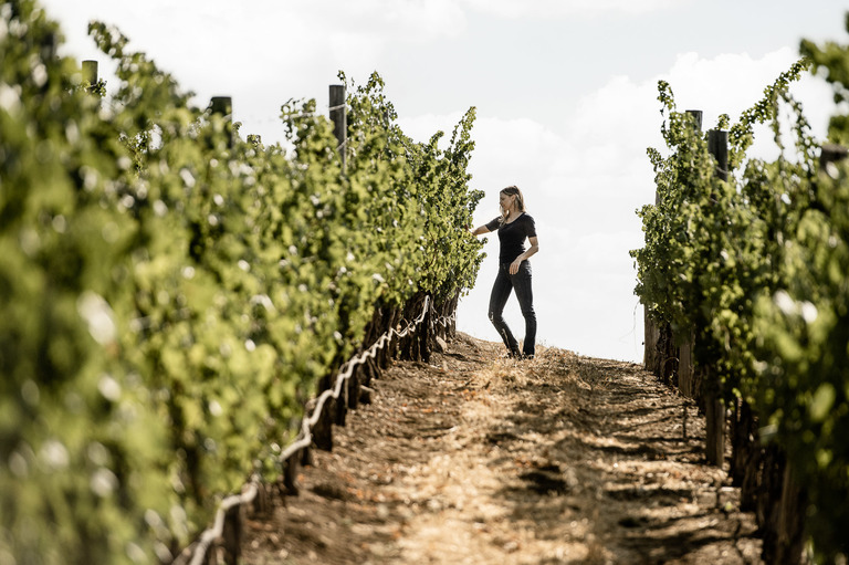 Photo of a winemaker in a vineyard row
