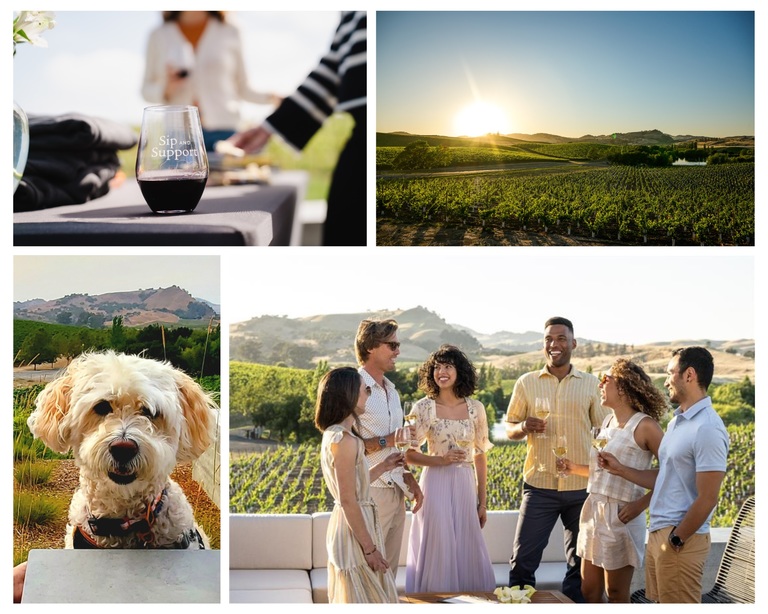 Winery pictures with happy people, a god, a sunset and a vendor table