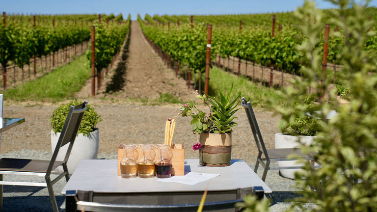 A table set with wine carafes before a vineyard with a blue sky