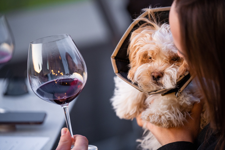 September Wine Club Virtual Tasting Party