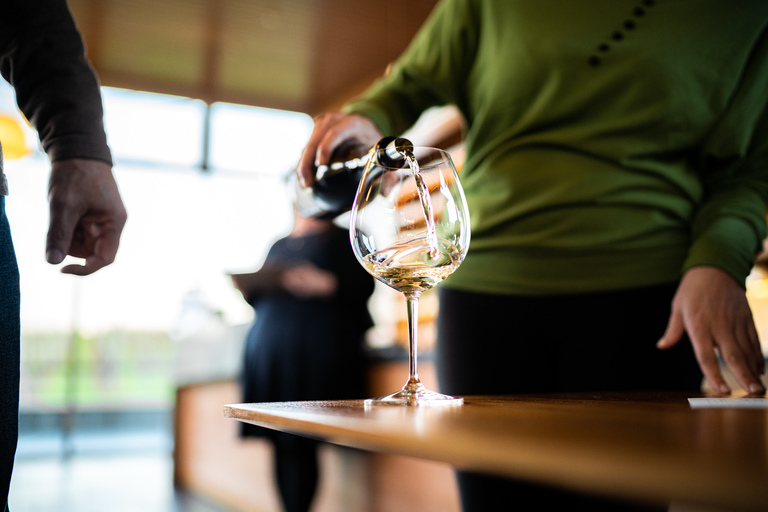 September Wine Club Virtual Tasting Party