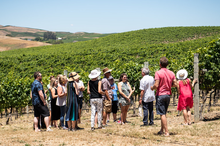 Explore sustainability in the vineyard
