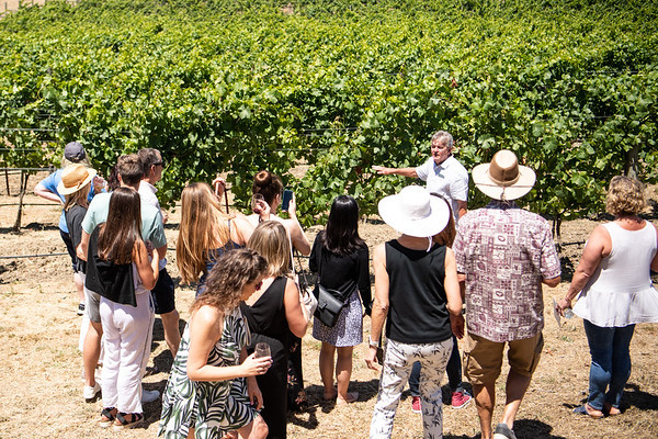 Sustainability in the Vineyard
